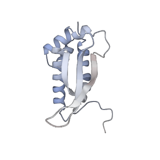 23671_7m4z_M_v1-4
A. baumannii Ribosome-Eravacycline complex: hpf-bound 70S