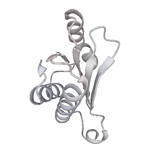 23671_7m4z_N_v1-3
A. baumannii Ribosome-Eravacycline complex: hpf-bound 70S