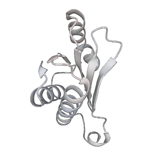 23671_7m4z_N_v1-4
A. baumannii Ribosome-Eravacycline complex: hpf-bound 70S