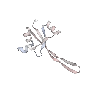 23671_7m4z_S_v1-3
A. baumannii Ribosome-Eravacycline complex: hpf-bound 70S