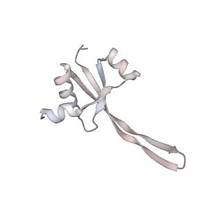 23671_7m4z_S_v1-4
A. baumannii Ribosome-Eravacycline complex: hpf-bound 70S