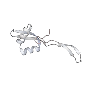 23671_7m4z_W_v1-3
A. baumannii Ribosome-Eravacycline complex: hpf-bound 70S