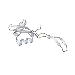 23671_7m4z_W_v1-4
A. baumannii Ribosome-Eravacycline complex: hpf-bound 70S