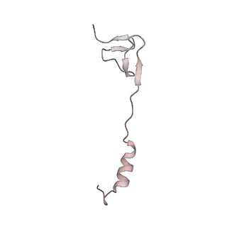 23671_7m4z_Z_v1-4
A. baumannii Ribosome-Eravacycline complex: hpf-bound 70S