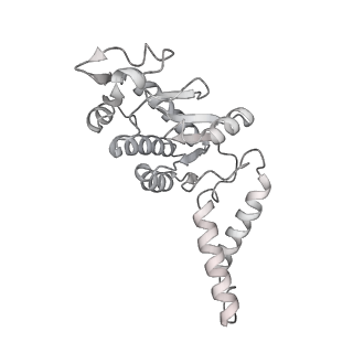 23671_7m4z_b_v1-3
A. baumannii Ribosome-Eravacycline complex: hpf-bound 70S