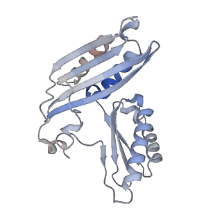 23671_7m4z_c_v1-3
A. baumannii Ribosome-Eravacycline complex: hpf-bound 70S