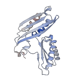 23671_7m4z_c_v1-4
A. baumannii Ribosome-Eravacycline complex: hpf-bound 70S