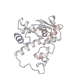 23671_7m4z_d_v1-3
A. baumannii Ribosome-Eravacycline complex: hpf-bound 70S
