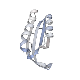 23671_7m4z_f_v1-4
A. baumannii Ribosome-Eravacycline complex: hpf-bound 70S