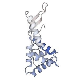 23671_7m4z_g_v1-3
A. baumannii Ribosome-Eravacycline complex: hpf-bound 70S