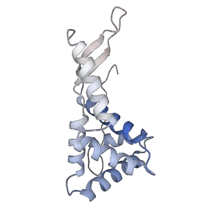 23671_7m4z_g_v1-4
A. baumannii Ribosome-Eravacycline complex: hpf-bound 70S