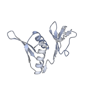 23671_7m4z_h_v1-3
A. baumannii Ribosome-Eravacycline complex: hpf-bound 70S