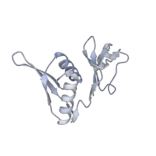 23671_7m4z_h_v1-4
A. baumannii Ribosome-Eravacycline complex: hpf-bound 70S