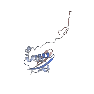 23671_7m4z_i_v1-3
A. baumannii Ribosome-Eravacycline complex: hpf-bound 70S