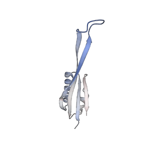 23671_7m4z_j_v1-4
A. baumannii Ribosome-Eravacycline complex: hpf-bound 70S