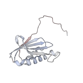 23671_7m4z_k_v1-3
A. baumannii Ribosome-Eravacycline complex: hpf-bound 70S