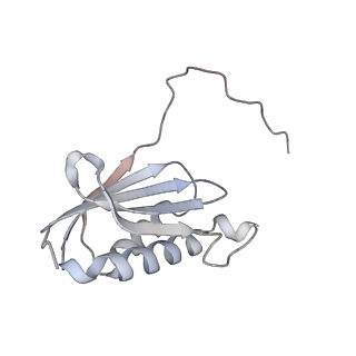 23671_7m4z_k_v1-4
A. baumannii Ribosome-Eravacycline complex: hpf-bound 70S