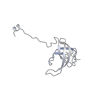 23671_7m4z_l_v1-3
A. baumannii Ribosome-Eravacycline complex: hpf-bound 70S