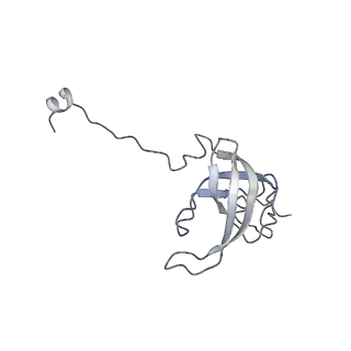 23671_7m4z_l_v1-4
A. baumannii Ribosome-Eravacycline complex: hpf-bound 70S