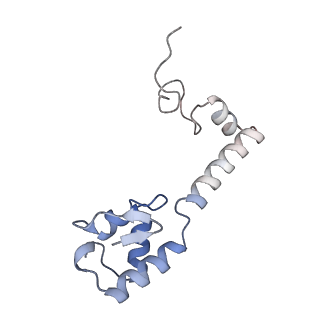 23671_7m4z_m_v1-3
A. baumannii Ribosome-Eravacycline complex: hpf-bound 70S