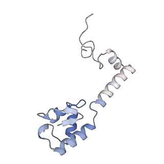 23671_7m4z_m_v1-4
A. baumannii Ribosome-Eravacycline complex: hpf-bound 70S