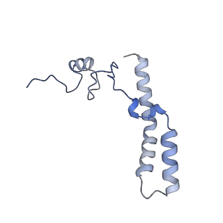 23671_7m4z_n_v1-3
A. baumannii Ribosome-Eravacycline complex: hpf-bound 70S