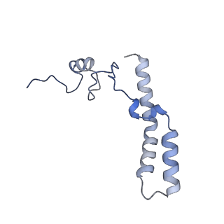 23671_7m4z_n_v1-4
A. baumannii Ribosome-Eravacycline complex: hpf-bound 70S