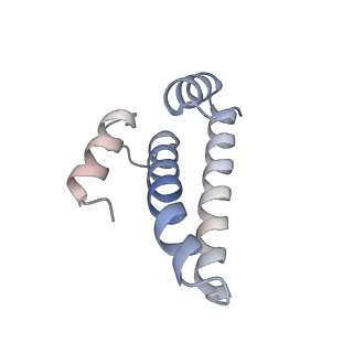 23671_7m4z_o_v1-4
A. baumannii Ribosome-Eravacycline complex: hpf-bound 70S