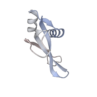 23671_7m4z_p_v1-3
A. baumannii Ribosome-Eravacycline complex: hpf-bound 70S