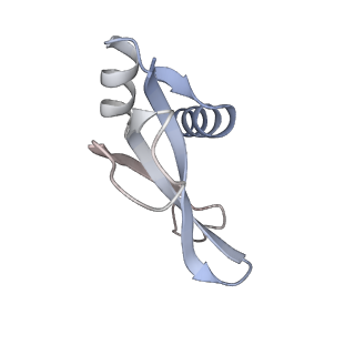 23671_7m4z_p_v1-4
A. baumannii Ribosome-Eravacycline complex: hpf-bound 70S