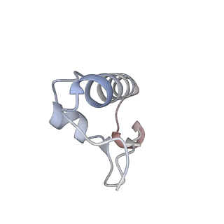 23671_7m4z_r_v1-3
A. baumannii Ribosome-Eravacycline complex: hpf-bound 70S