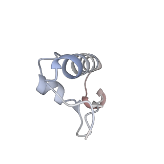 23671_7m4z_r_v1-4
A. baumannii Ribosome-Eravacycline complex: hpf-bound 70S
