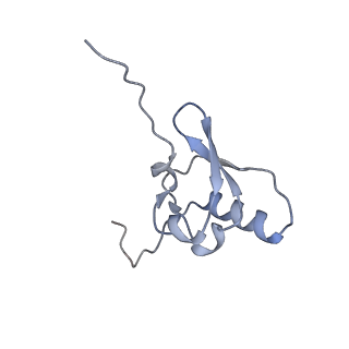 23671_7m4z_s_v1-3
A. baumannii Ribosome-Eravacycline complex: hpf-bound 70S