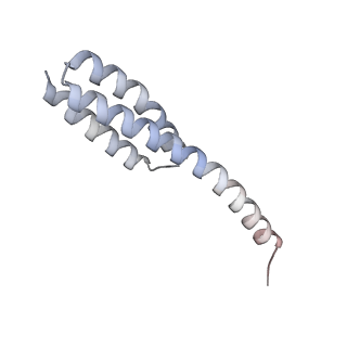 23671_7m4z_t_v1-4
A. baumannii Ribosome-Eravacycline complex: hpf-bound 70S