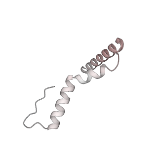 23671_7m4z_u_v1-4
A. baumannii Ribosome-Eravacycline complex: hpf-bound 70S