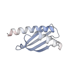 23671_7m4z_v_v1-3
A. baumannii Ribosome-Eravacycline complex: hpf-bound 70S