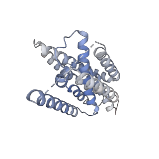 30074_6m49_B_v1-2
cryo-EM structure of Scap/Insig complex in the present of 25-hydroxyl cholesterol.