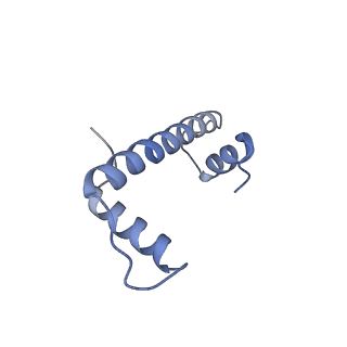 30076_6m4d_A_v1-2
Structural mechanism of nucleosome dynamics governed by human histone variants H2A.B and H2A.Z.2.2