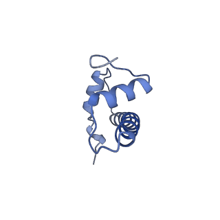 30076_6m4d_B_v1-2
Structural mechanism of nucleosome dynamics governed by human histone variants H2A.B and H2A.Z.2.2