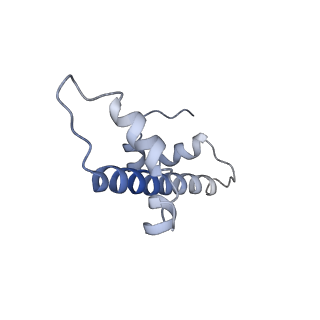 30076_6m4d_C_v1-1
Structural mechanism of nucleosome dynamics governed by human histone variants H2A.B and H2A.Z.2.2