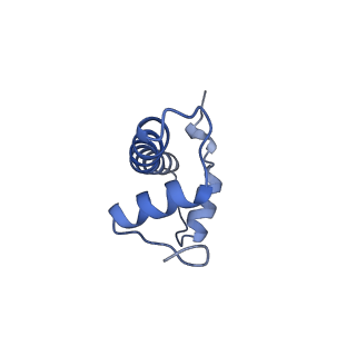 30076_6m4d_F_v1-2
Structural mechanism of nucleosome dynamics governed by human histone variants H2A.B and H2A.Z.2.2