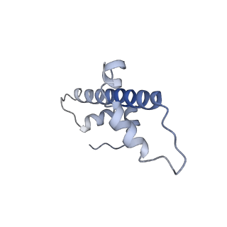 30076_6m4d_G_v1-1
Structural mechanism of nucleosome dynamics governed by human histone variants H2A.B and H2A.Z.2.2