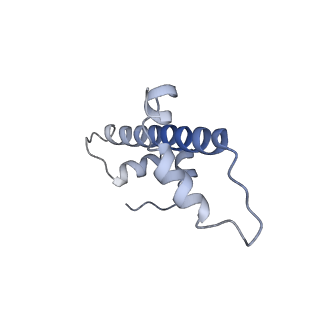 30076_6m4d_G_v1-2
Structural mechanism of nucleosome dynamics governed by human histone variants H2A.B and H2A.Z.2.2