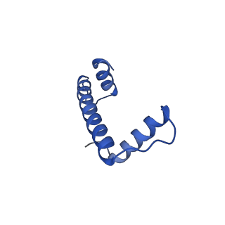 30077_6m4g_A_v1-2
Structural mechanism of nucleosome dynamics governed by human histone variants H2A.B and H2A.Z.2.2