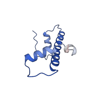 30077_6m4g_C_v1-2
Structural mechanism of nucleosome dynamics governed by human histone variants H2A.B and H2A.Z.2.2