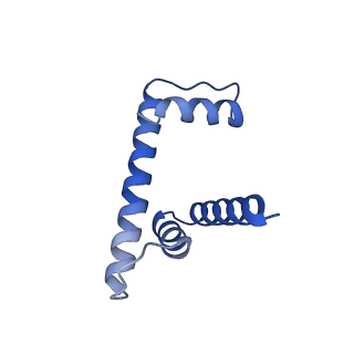 30077_6m4g_D_v1-1
Structural mechanism of nucleosome dynamics governed by human histone variants H2A.B and H2A.Z.2.2