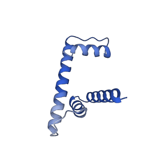 30077_6m4g_D_v1-2
Structural mechanism of nucleosome dynamics governed by human histone variants H2A.B and H2A.Z.2.2