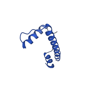 30077_6m4g_E_v1-2
Structural mechanism of nucleosome dynamics governed by human histone variants H2A.B and H2A.Z.2.2