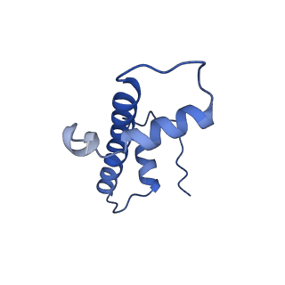 30077_6m4g_G_v1-2
Structural mechanism of nucleosome dynamics governed by human histone variants H2A.B and H2A.Z.2.2