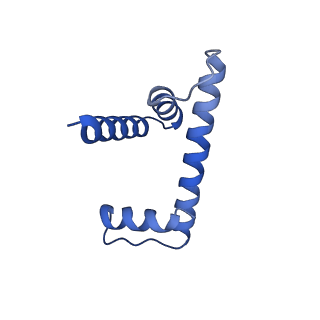 30077_6m4g_H_v1-2
Structural mechanism of nucleosome dynamics governed by human histone variants H2A.B and H2A.Z.2.2